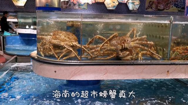 蟹一斤多少钱(普通螃蟹多少钱一斤)