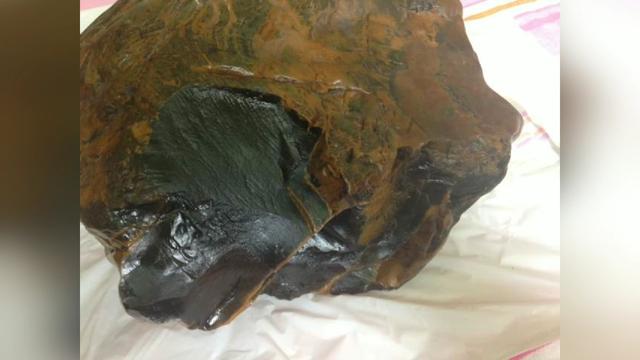 树化石怎么鉴定 宝马华收藏网