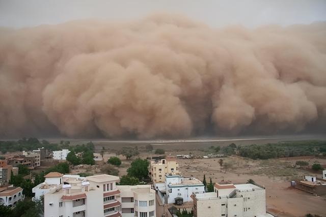 how-terrible-are-sandstorms-how-harmful-is-it-what-can-humans-do-to