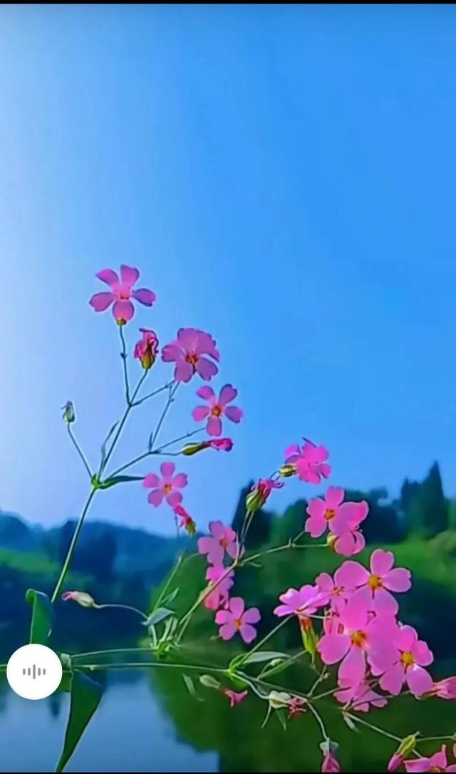 Shi Tiesheng's life is relieved iMedia