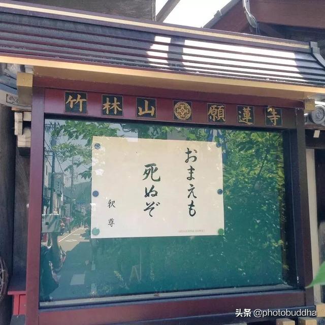 The Japanese temple's annual heartwrenching copy is here again "Don't