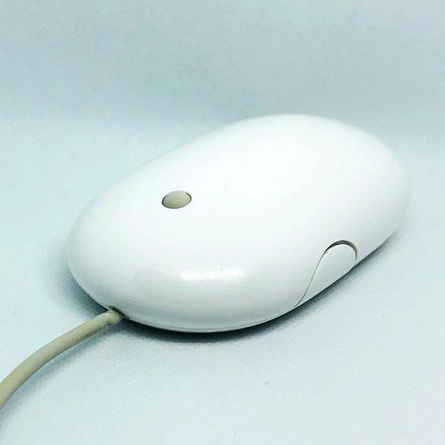 business logic? Apple mouse changes from single button to double button ...