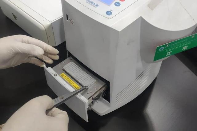 Q&A related to PCR technology - iMedia