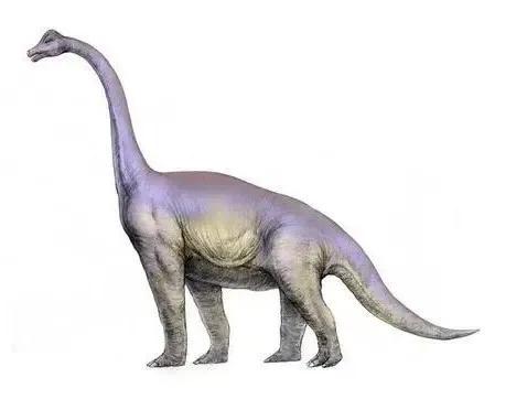 largest vegetarian dinosaur