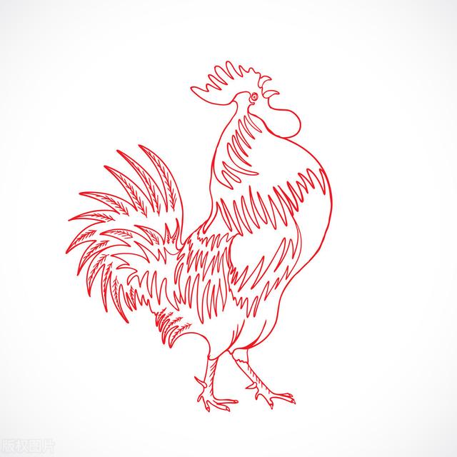 The 2023 fortune of the rooster, if you have a rooster at home, you