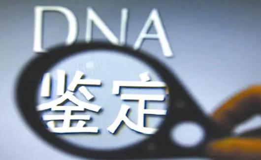 Can The Hospital Do A DNA Paternity Test How Much Does A DNA Test Cost 