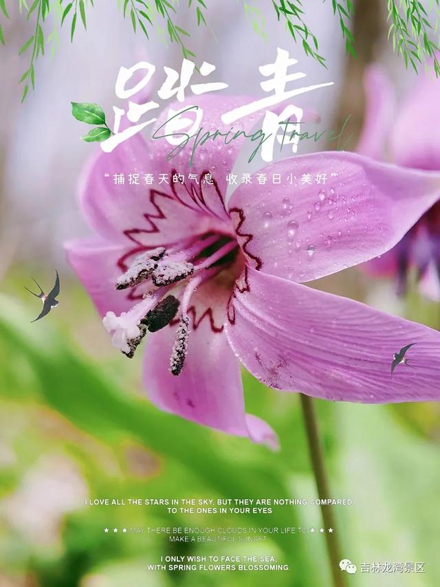 When spring wakes up and all flowers bloom, the Sevencolor Mountain