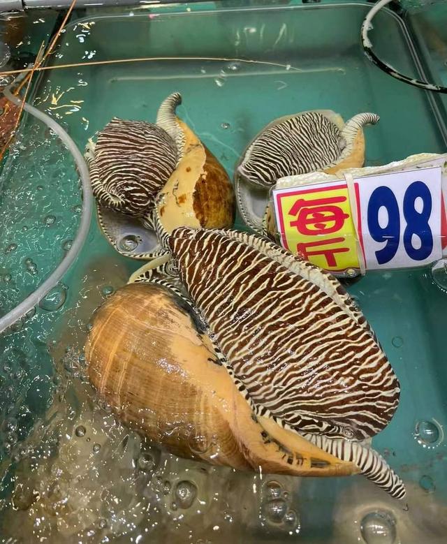 His wife bought 5 big snails at one time and went home, and he