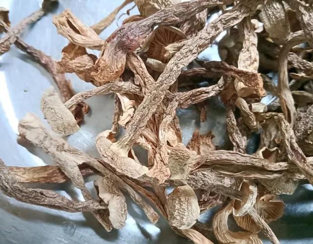 Deer antler mushrooms are nutritious and delicious - iMedia