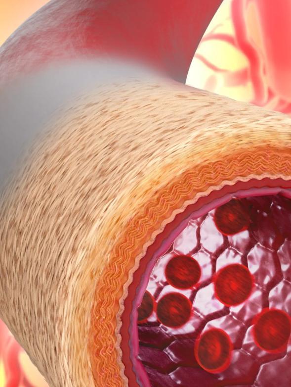 Scientists Create A New Form Of Artificial Blood Vessel With The