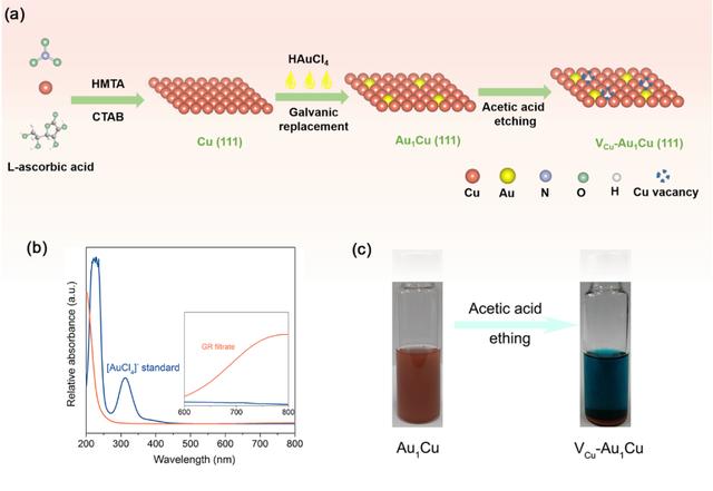 Yin Lifeng Defect State Single-atom Gold-Cu Nanoalloy Electrocatalytic ...