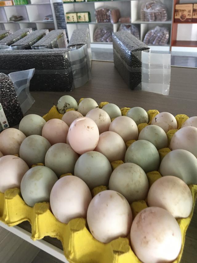 there-is-a-kind-of-duck-eggs-in-honghe-yunnan-have-you-ever-eaten