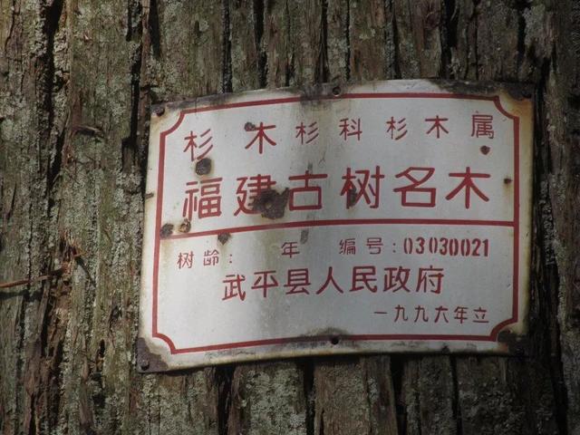 suggestions-on-constructing-wuping-tangwu-ancient-tree-park-imedia