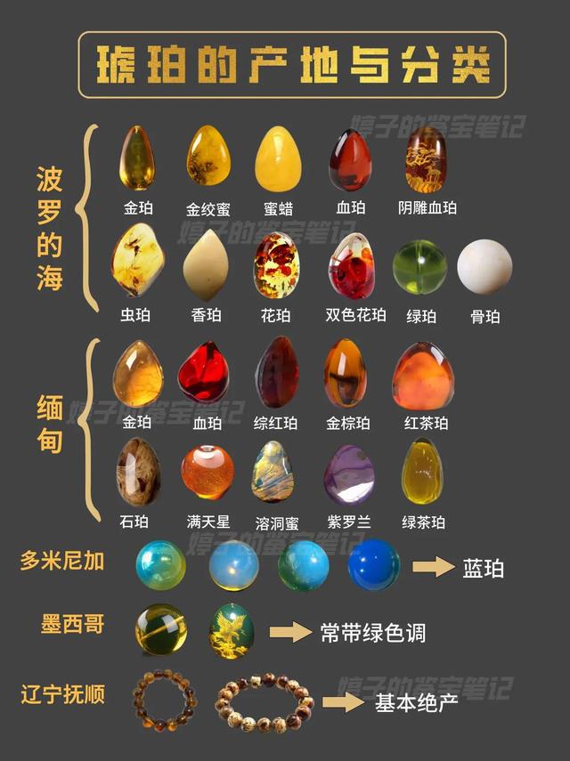 An article to understand the origin and classification of amber - iMedia