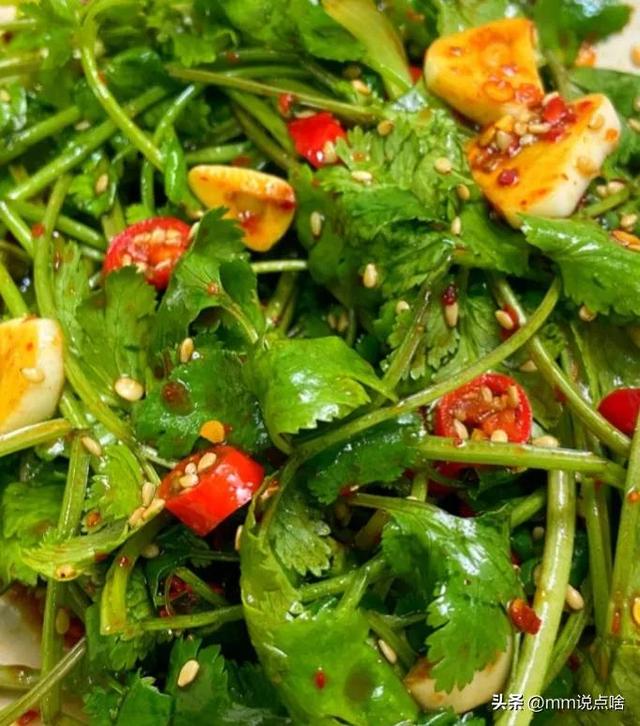 Coriander is the "top class" coriander in the seasoning industry. Doing