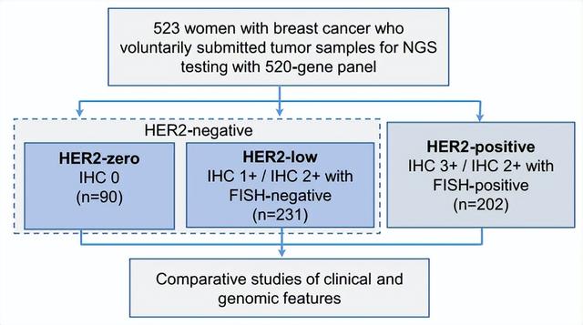 Exploring Differences In Her2 Low Breast Cancer From Clinical And