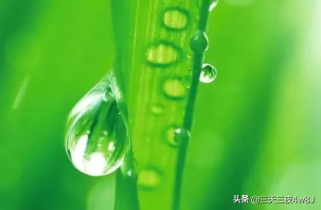 the-day-after-tomorrow-auspicious-stars-will-shine-brightly-good