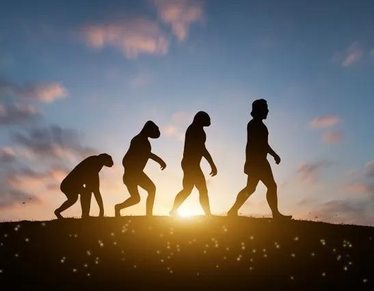 Do you know how the first man on earth came to be? - iMedia