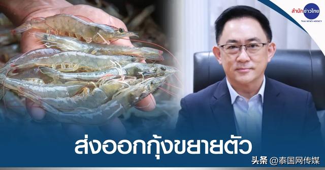 Thailands 2023 Target Production Of Sea Shrimp Is 400000 Tons And The Export Of White Shrimp 1488