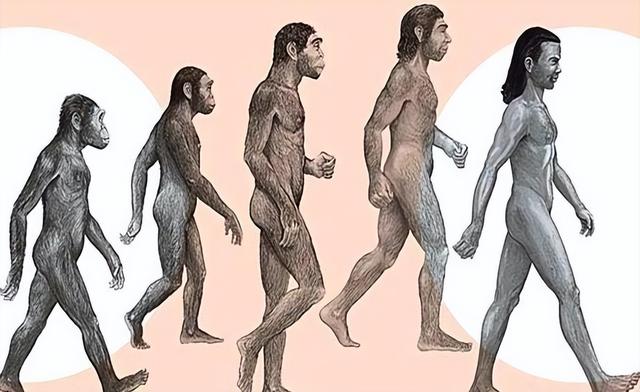 there-were-no-human-beings-on-the-earth-before-how-did-the-first-human-come-not-ape-evolution