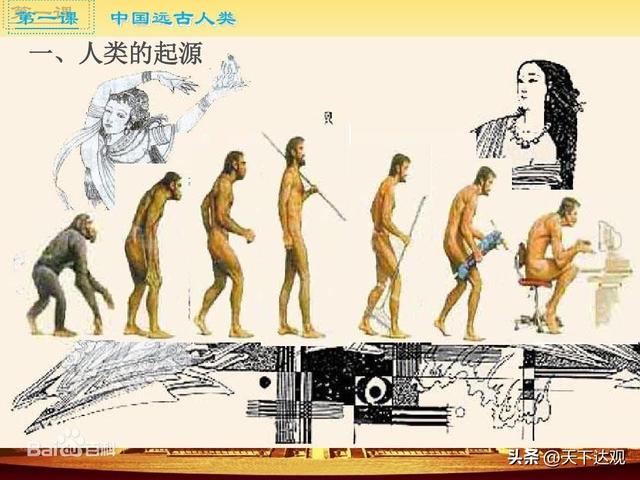 How Did Humans Originate IMedia