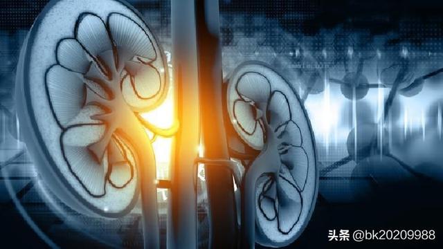 What about kidney deficiency? - iMedia