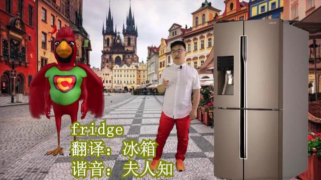 fridge是什么意思(fridge是什么意思中文)