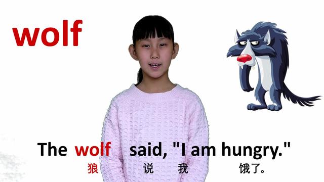 wolf什麼意思(wolf什麼意思中文翻譯)