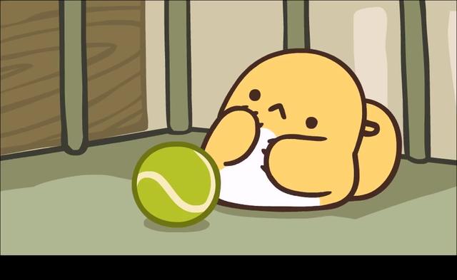 比丢什么意思比丢啥意思呀