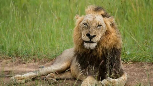 t先生的密码t先生全集解压密码