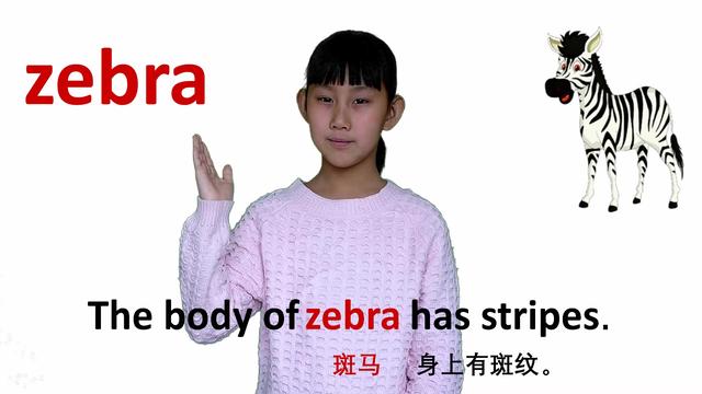 斑马用英语怎么读音(zebra发音试听)