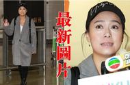 TVB Huang Xinying dives 8 months return harbor to weep say oneself return the home eventually