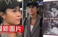 Huang Xinying dives Hong Kong is answered after 8 months, an airport weeps, the excrement that conne