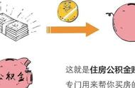 到底什么是五险一金？你真的了解吗！