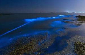 荧光海传说中最美的海 其实在国内也有