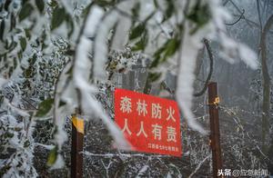 杭州：元旦，气温将低至-10℃，持续Ⅳ级响应