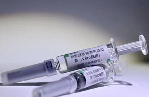 拉美疫情不容乐观，中国雪中送碳，国产新冠疫苗陆续抵达多国