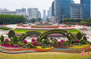 乘风破浪，又见彩虹，武汉街头20组立体花坛致敬英雄