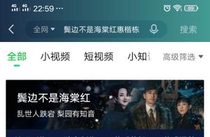 鬓边不是海棠红2：凤蕊恋（黄晓明如同是天生的二爷）