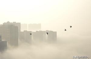 Atlas | Today's Chengdu suits Xiu Xian, big mist 
