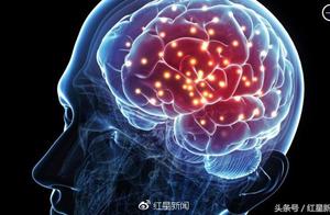 生前封存大脑 未来扫描数据化 硅谷一公司预订复活人脑服务引争议