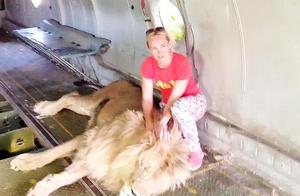 女游客合影时被狮子撕咬，动物园居然让兽医给她看病