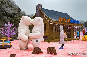 从今天起，金佛山可以玩雪了！粉色雪，太浪漫了！