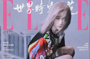 刘亦菲全新二次元粉发造型登《Elle》三月刊封面曝光又甜又飒