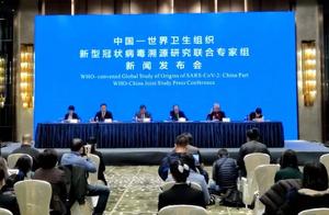 中国-世卫组织新冠病毒溯源研究联合专家组举行新闻发布会