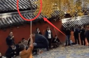 男子拍打少林寺千年银杏，录视频惹众怒，真的是小题大做吗