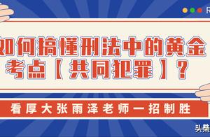 如何搞懂刑法中的黄金考点「共同犯罪」？看张雨泽老师一招制胜
