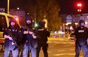 重大突发！维也纳遭恐怖袭击，有人用机关枪扫射，至少7人身亡！法国已遭两起袭击，欧洲怎么了？