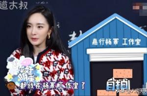 Yang Mi: 100% vermicelli made from bean starch are dissatisfactory to atelier