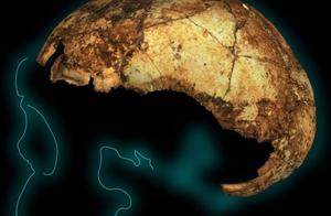 南非德里莫林洞穴里，古生物学家发现超200万年直立人孩子头骨